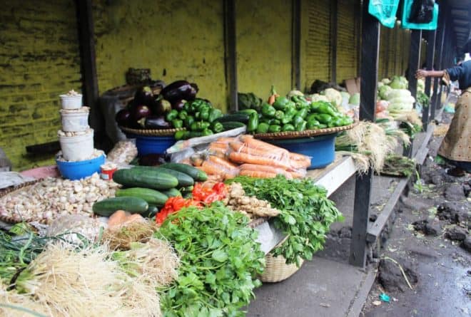 INERA-Ngandajika, combattre l’insécurité alimentaire par l’agriculture durable
