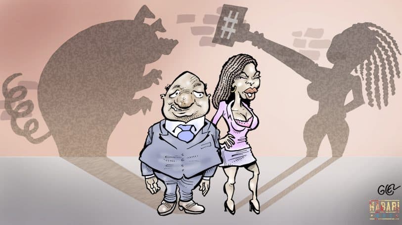 #16jours : Le macho congolais, espèce menacée ?