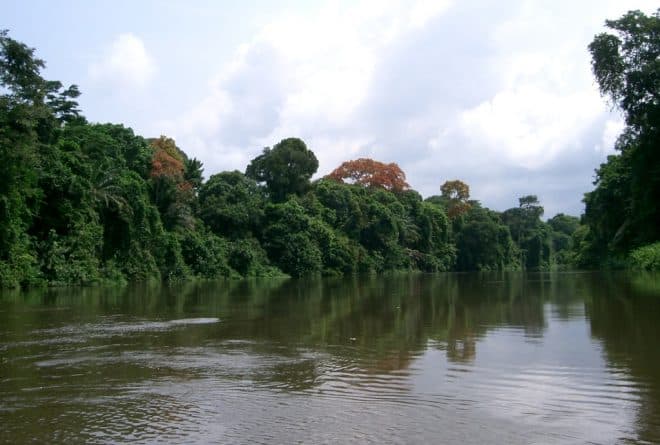 Waza kesho ! Préservons les aires protégées en RDC
