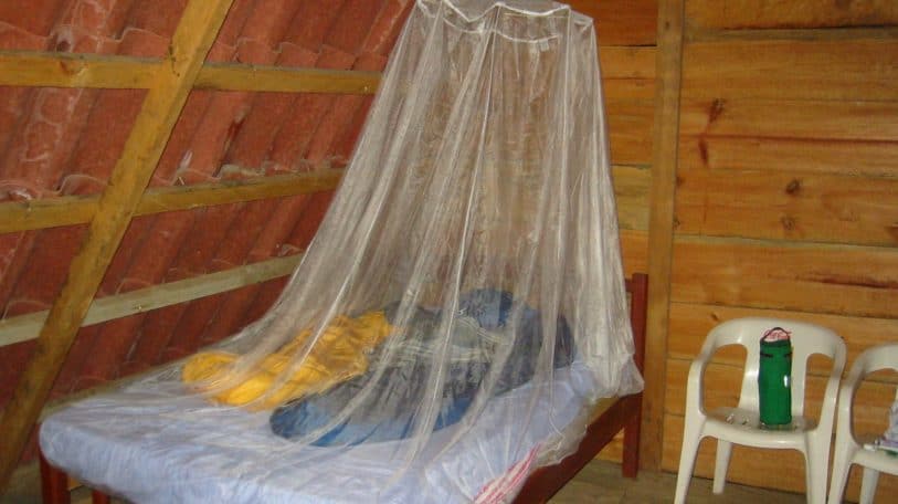 A Oïcha, la moustiquaire devient un matériel de construction indispensable