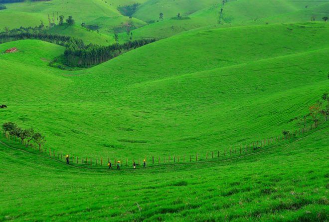 Kivu green : lier la technologie à l’agriculture