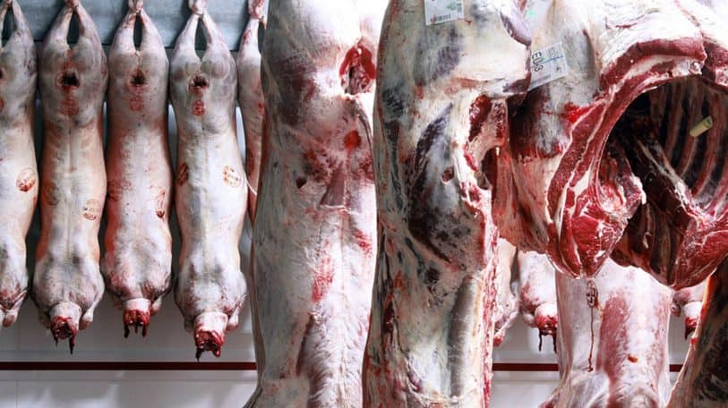 À Beni, on conserve bien la bière mais pas la viande