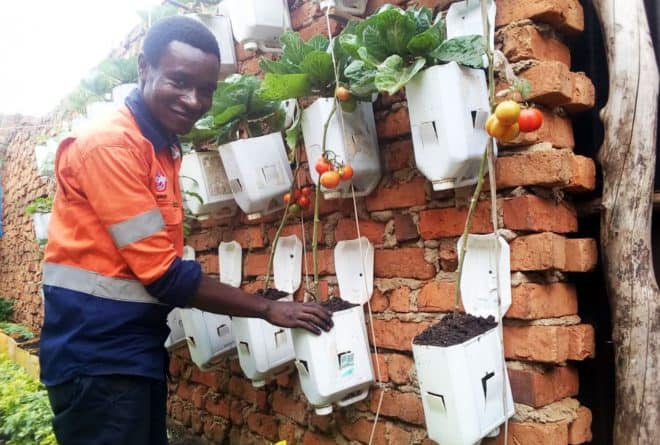Des jardins verticaux pour nourrir la ville de Bukavu