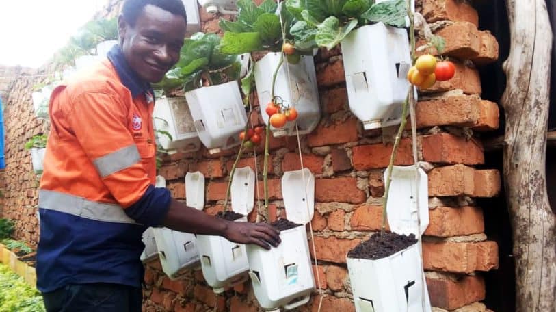 Des jardins verticaux pour nourrir la ville de Bukavu