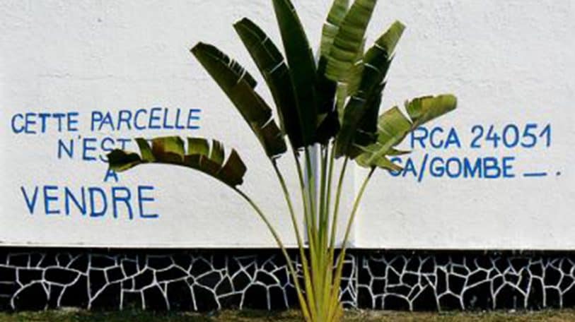 Après la mort des parents : l’héritage divise les enfants