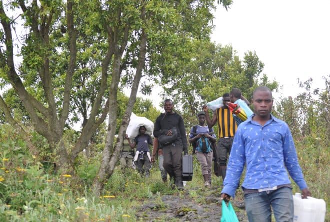 Parc des Virunga : des enfants utilisés comme porteurs pour touristes
