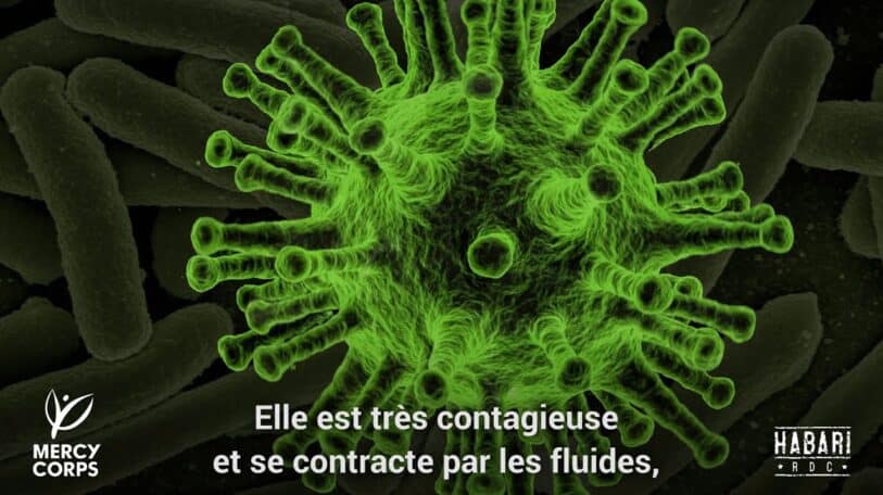 Peut-on comparer le coronavirus à Ebola ?