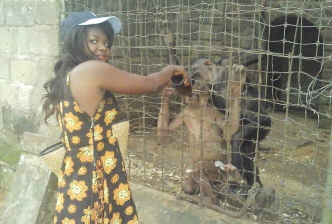 Le zoo de Kisangani : ce mouroir des animaux
