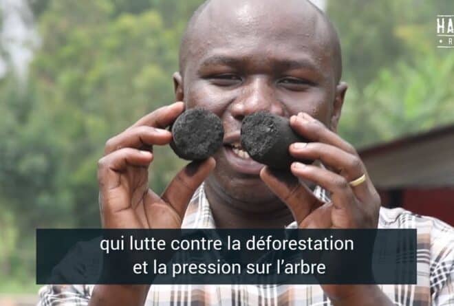 Briquettes écologiques made in Goma