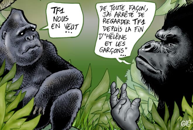 TF1, rendez-nous nos gorilles congolais !