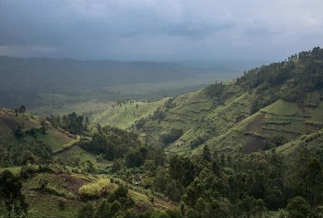 La participation communautaire pour prévenir les conflits dans le parc des Virunga