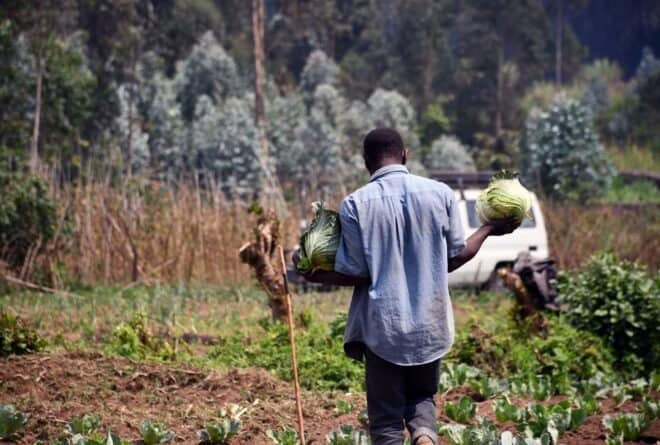Nord-Kivu : le programme Farm au cœur des communautés locales a pris fin