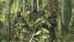 Forces Armées de la RDC