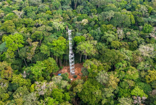 Station de Mabali dans l’Equateur : l’œil du Congo au cœur de la forêt équatoriale