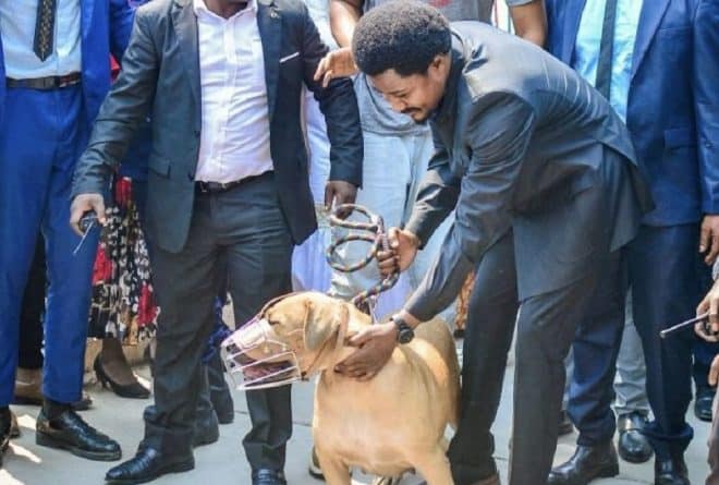 Un chien à la remise et reprise au ministère de la Justice de la RDC !